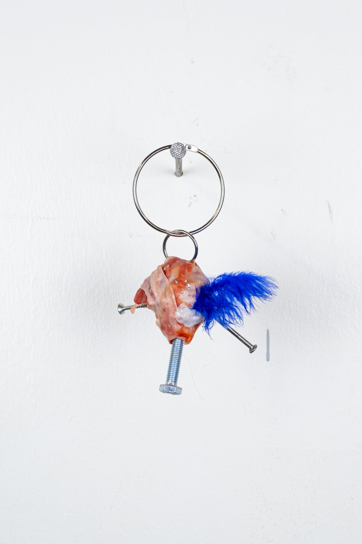 Bioinstallation — 2023, melted plastic, nail, feather, ring