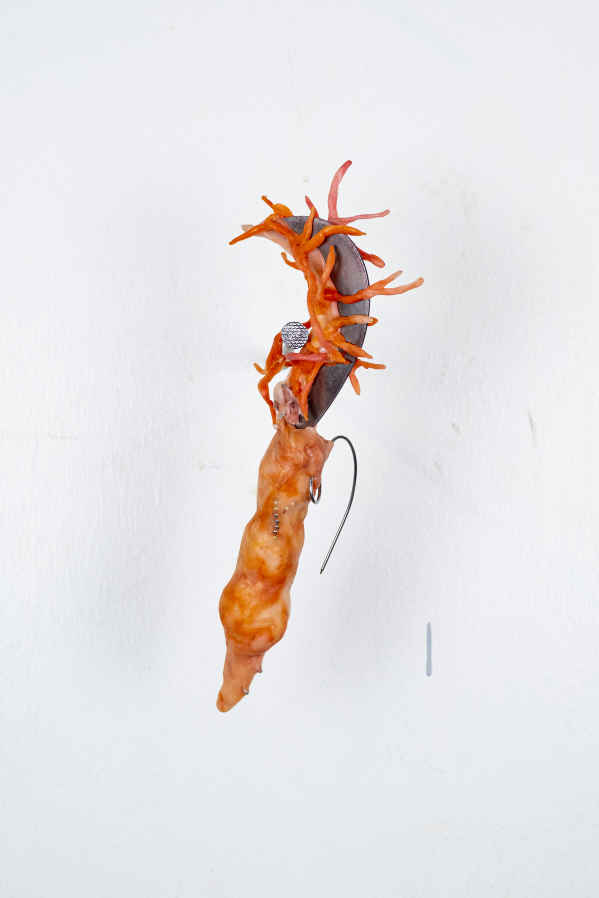 Bioinstallation — 2023, melted plastic, wire