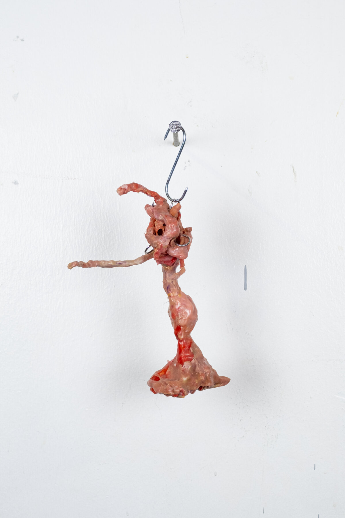 Bioinstallation — 2023, melted plastic, hook