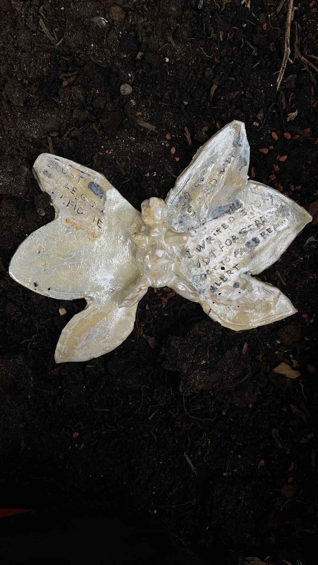 Imago — 2026, 13×15 cm, Berlin